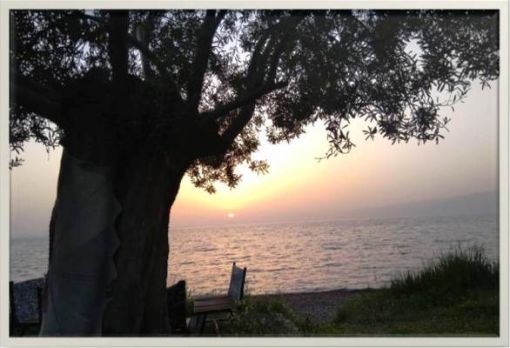 BURHANİYE SAHİL ZEN ANADOLU