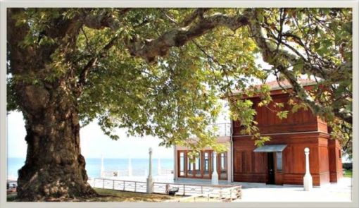 YÜRÜYEN KÖŞK VE ÇINAR ZEN ANADOLU
