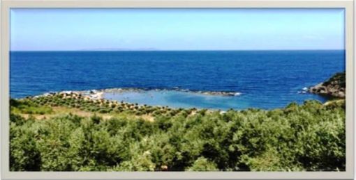 KORSAN LİMANI ZEN ANADOLU 