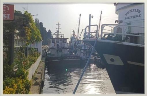 BALIKÇI TEKNELERİ ZEN ANADOLU
